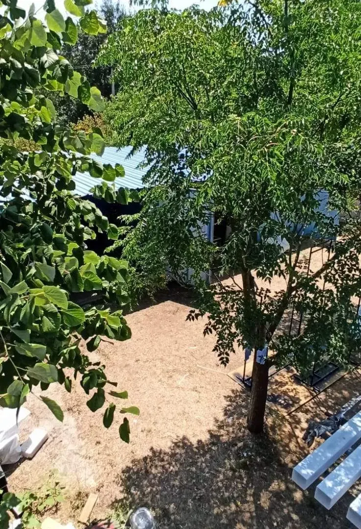 Prodaja, plac, 700m², Bigova, Kotor