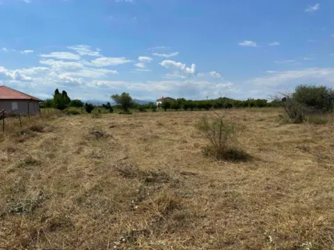 Prodaja, plac, 6000m², Golubovci, Podgorica - image 6