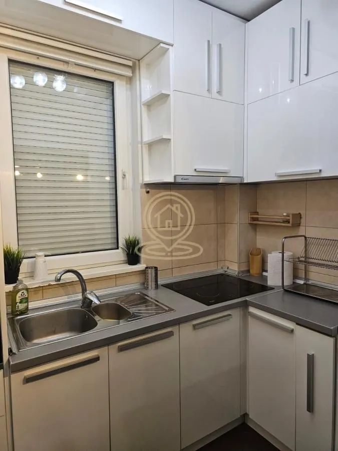 Rent, four bedroom apartment, 97m², Vračar Sve Podlokacije, Beograd