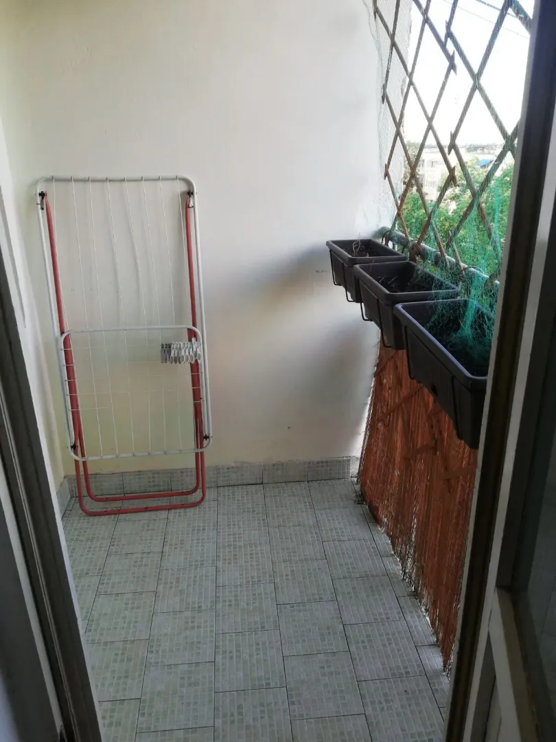Izdavanje, garsonjera, 26m², Detelinara, Novi Sad Sve Podlokacije