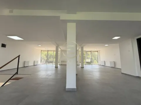 Izdavanje, poslovni prostor, 349m², Bulevar patrijarha Pavla, Novi Sad Sve Podlokacije - image 5