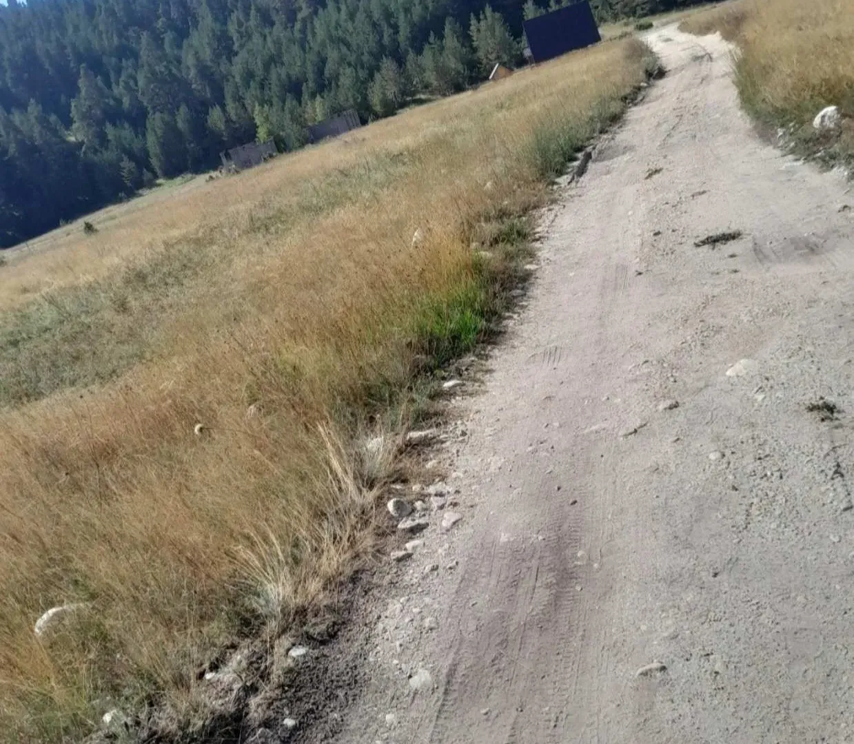 Prodaja, plac, 437m², Žabljak, Crna Gora