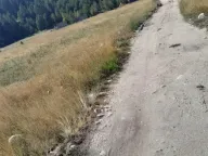 Sale, land lot, 437m², Žabljak, Crna Gora - image 7