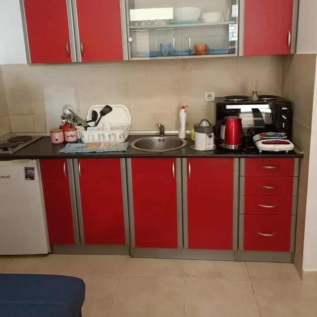Izdavanje, jednosoban stan, 21m², Rozino, Budva