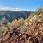 Prodaja, plac, 1500m², Markovići, Budva - image 3