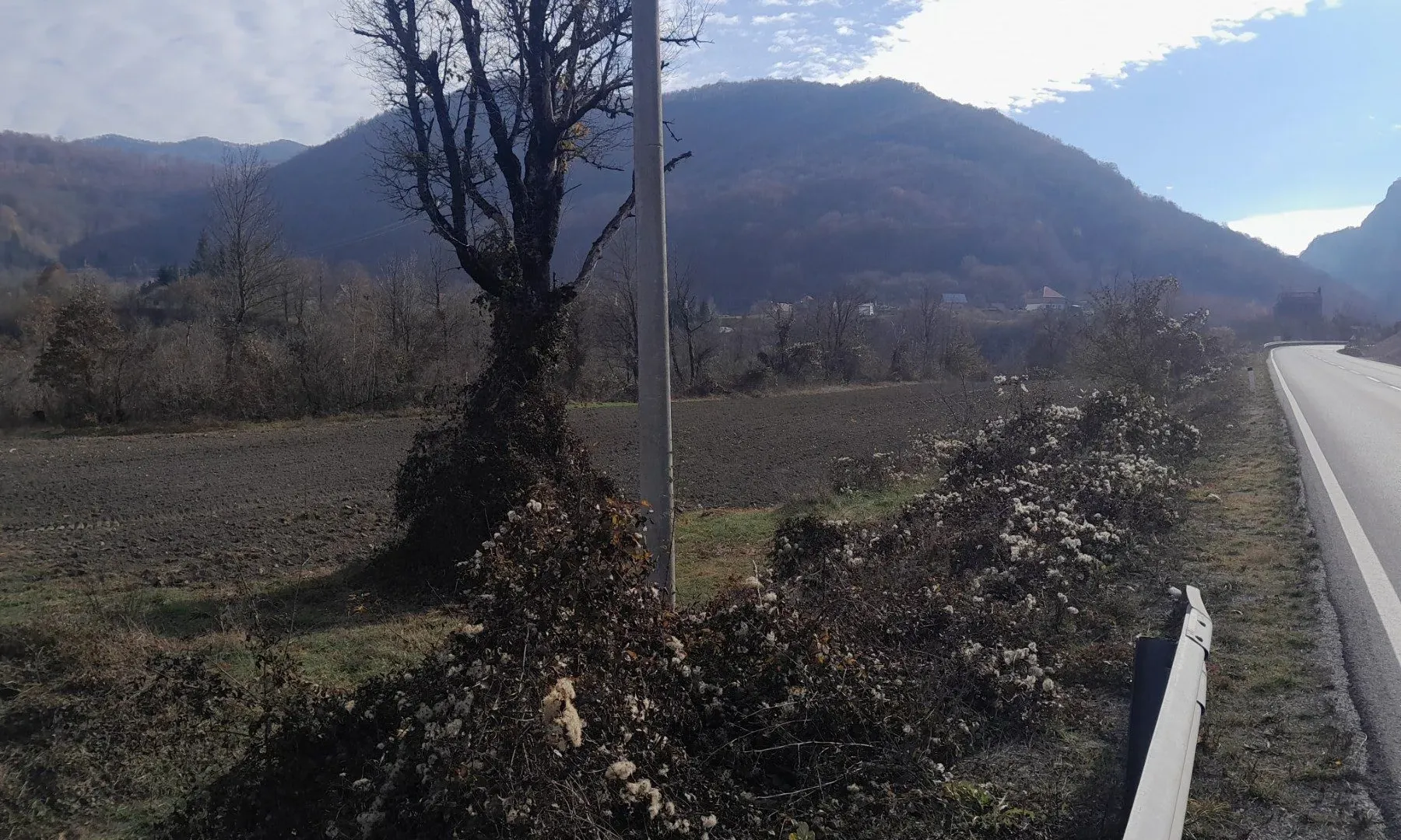 Prodaja, plac, 12000m², Kolašin, Crna Gora