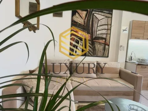 Rent, studio apartment, 35m², Stara Varoš, Podgorica - image 2