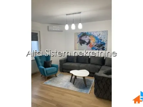 Izdavanje, dvosoban stan, 52m², Južni Bulevar, Vračar Sve Podlokacije - image 1