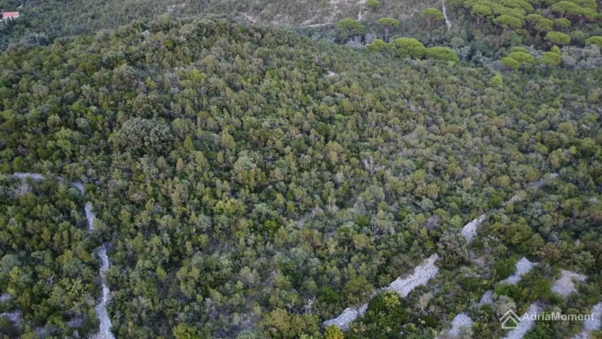 Prodaja, plac, 9000m², Radovanići, Herceg Novi