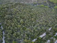 Sale, land lot, 9000m², Radovanići, Herceg Novi - image 7