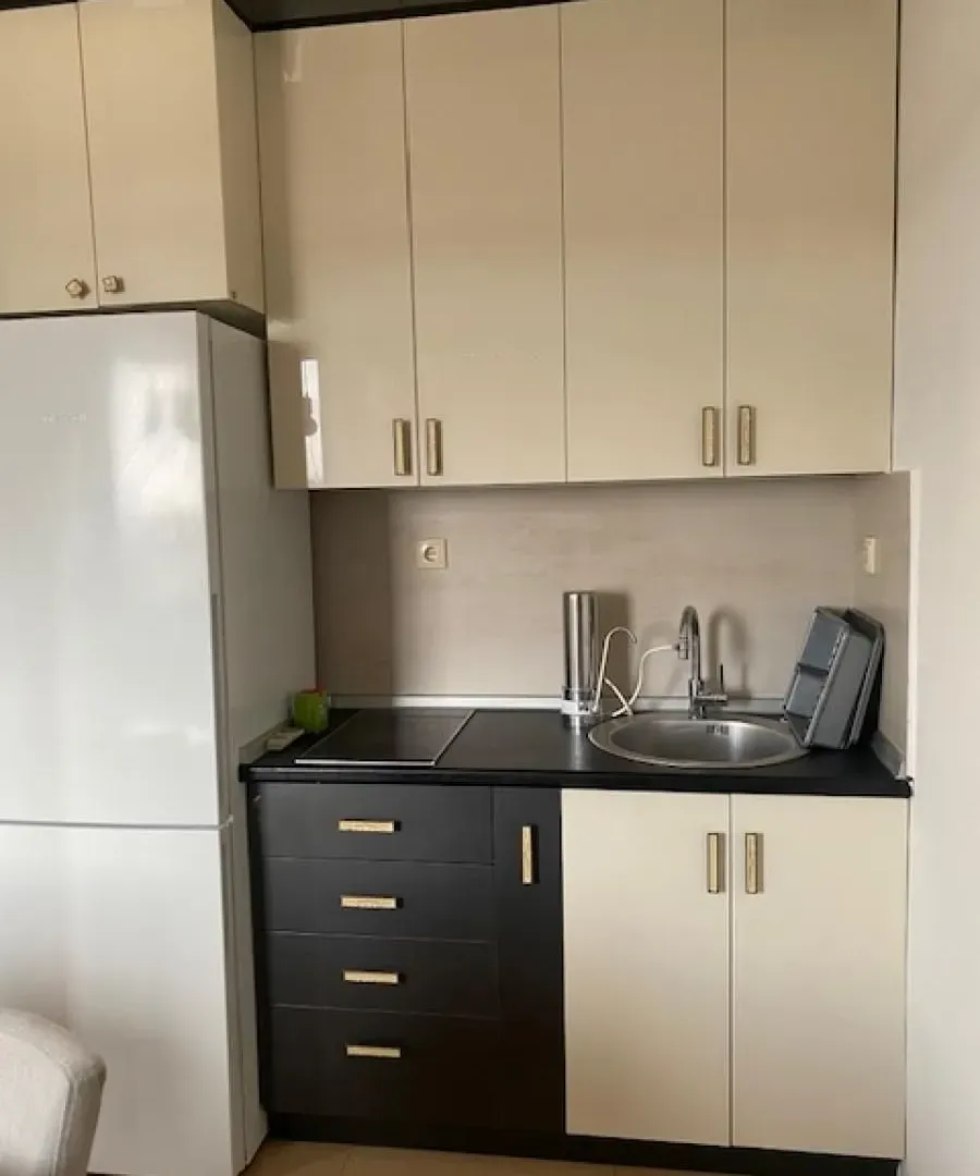Izdavanje, jednosoban stan, 40m², Novi Beograd Blok 10, Novi Beograd Sve Podlokacije