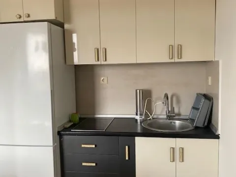 Rent, one bedroom apartment, 40m², Novi Beograd Blok 10, Novi Beograd Sve Podlokacije - image 11