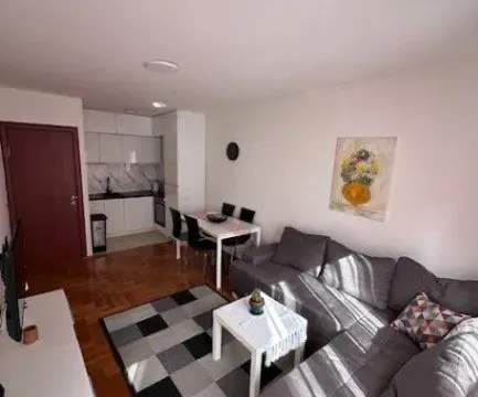 Izdavanje, dvosoban stan, 56m², Podgorica, Crna Gora - image 7