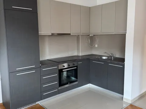 Izdavanje, jednosoban stan, 50m², Rozino, Budva - image 2