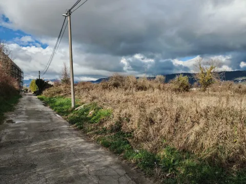 Zemljište sa suvom travom pored lokalnog puta pod oblačnim nebom. - image 3