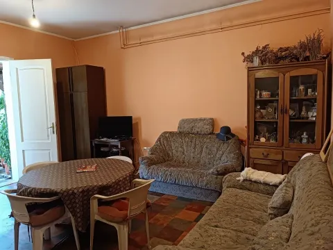 Prodaja, kuća, 330m², Aleksinac, Niš - image 6