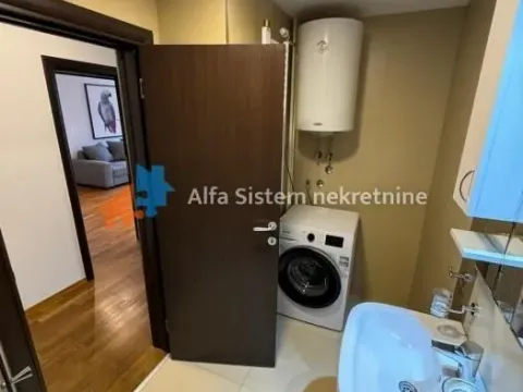 Izdavanje, dvosoban stan, 55m², Savski Venac, Beograd - image 11