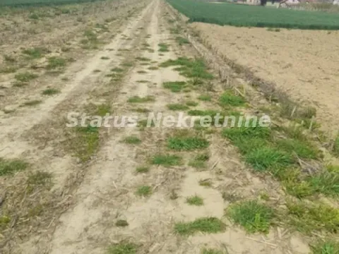 Prodaja, plac, 686m², Futog, Novi Sad Sve Podlokacije - image 19