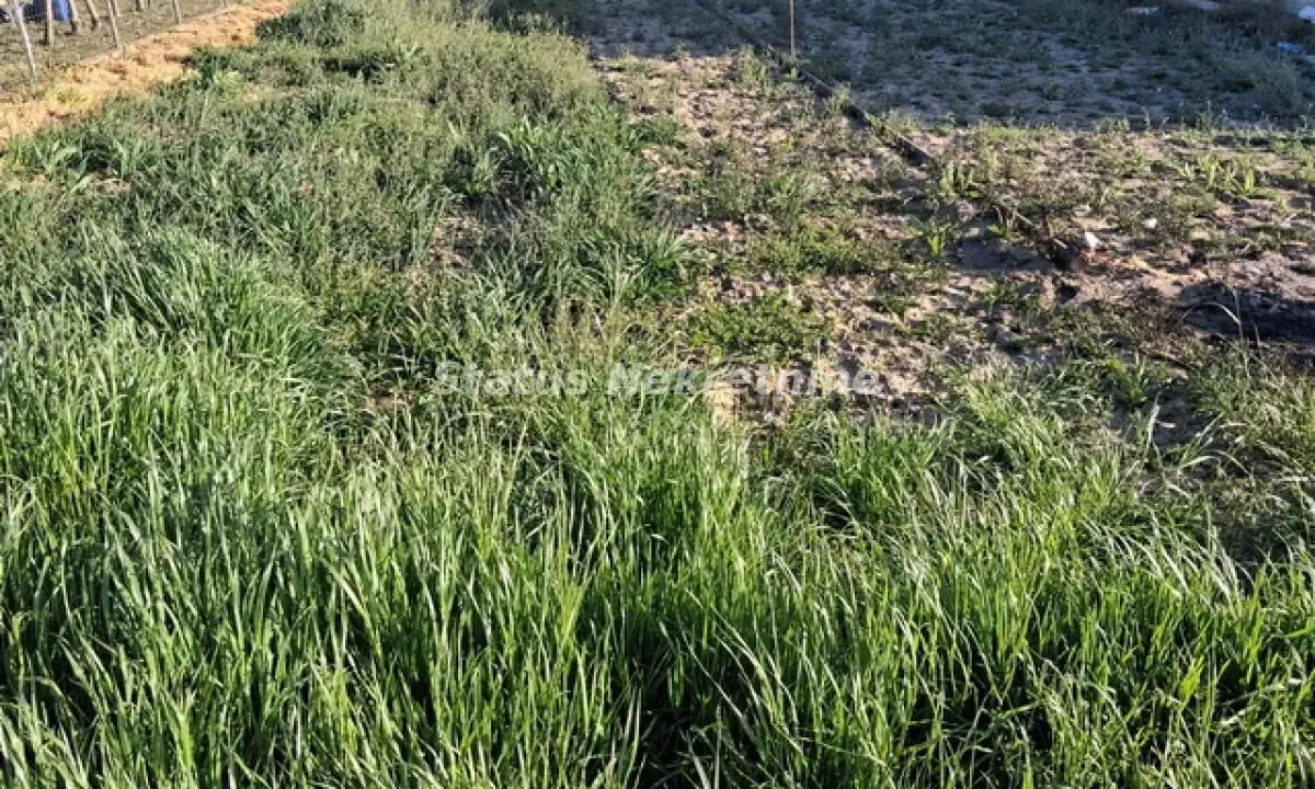 Sale, land lot, 765m², Futog, Novi Sad Sve Podlokacije