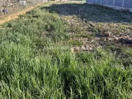 Sale, land lot, 765m², Futog, Novi Sad Sve Podlokacije