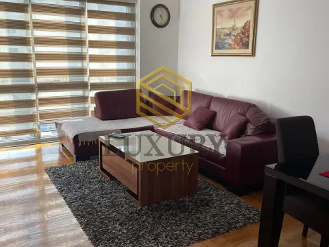 Izdavanje, jednosoban stan, 30m², Centar, Podgorica - image 1