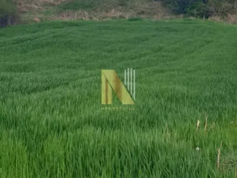 Prodaja, plac, 1200m², Novi Sad, Srbija - image 1