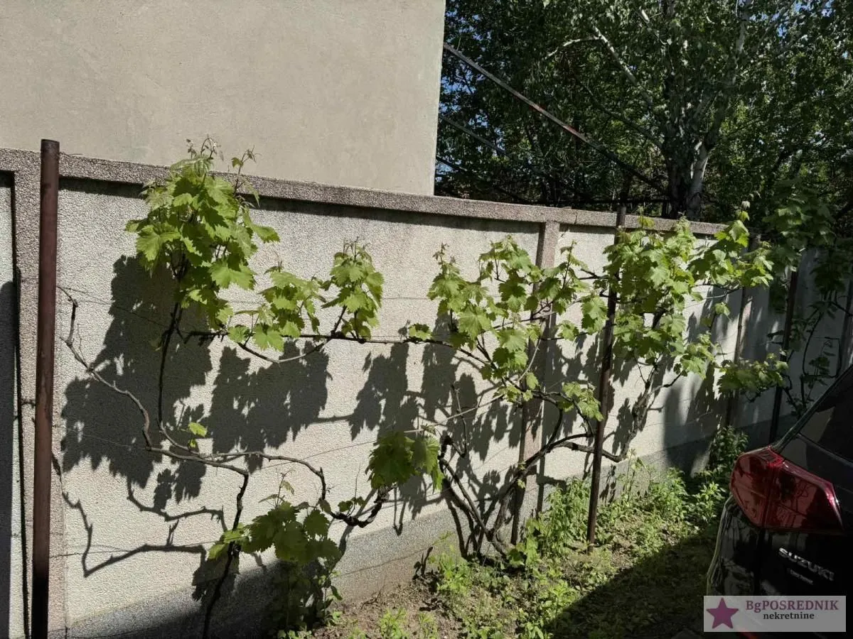 Prodaja, kuća, 200m², Alibunar, Srbija