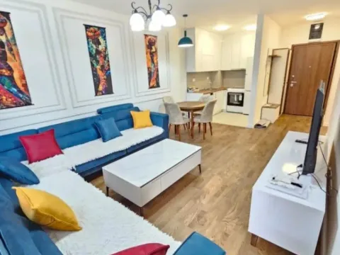 Izdavanje, jednosoban stan, 47m², Stari Aerodrom, Podgorica - image 2