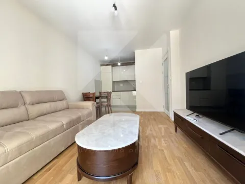 Izdavanje, jednosoban stan, 42m², Tuški Put, Podgorica - image 3