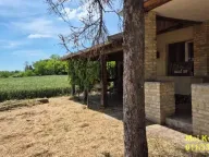 Prodaja, ugostiteljski objekat, 491m², Čenej, Novi Sad Sve Podlokacije - image 2