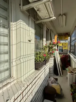 Dugačak zastakljeni balkon sa zasađenim cvećem i prostorom za odlaganje. - image 13