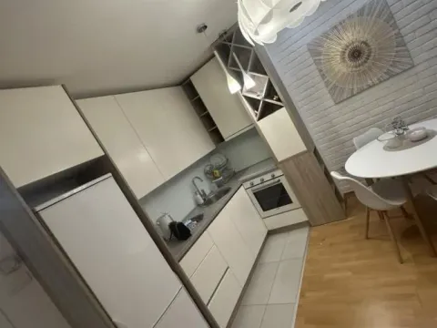 Izdavanje, dvosoban stan, 50m², Grbavica, Novi Sad Sve Podlokacije - image 5