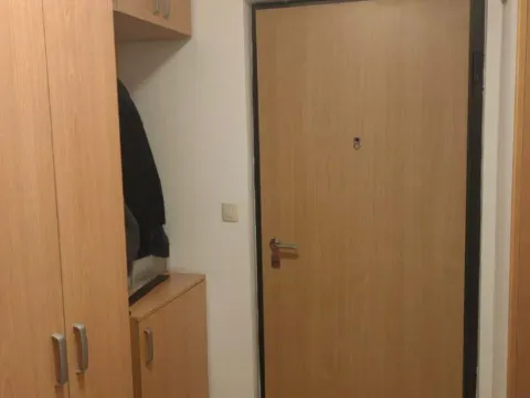 Izdavanje, jednosoban stan, 41m², Stari Aerodrom, Podgorica - image 4