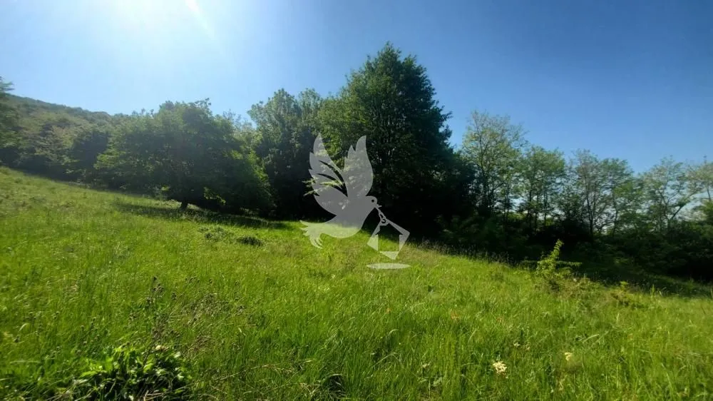Prodaja, plac, 23000m², Mladenovac, Beograd
