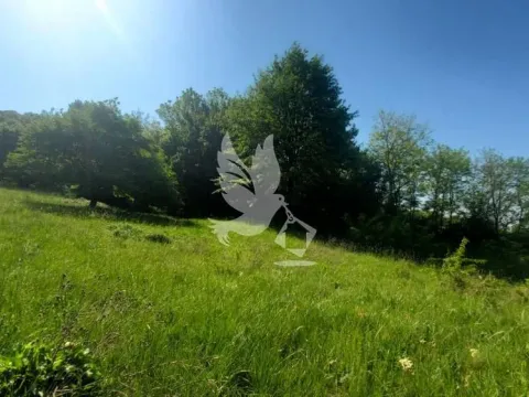 Prodaja, plac, 23000m², Mladenovac, Beograd - image 6