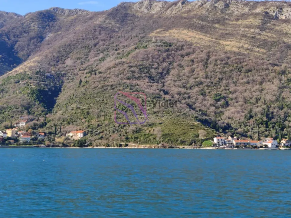 Sale, land lot, 50000m², Kamenari, Herceg Novi