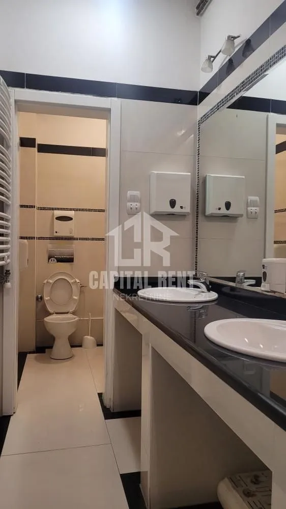Izdavanje, poslovni prostor, 540m², Južni Bulevar, Vračar Sve Podlokacije