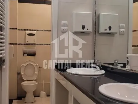 Izdavanje, poslovni prostor, 540m², Južni Bulevar, Vračar Sve Podlokacije - image 5