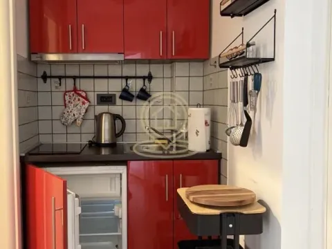Izdavanje, jednosoban stan, 33m², Stari Grad, Beograd - image 9