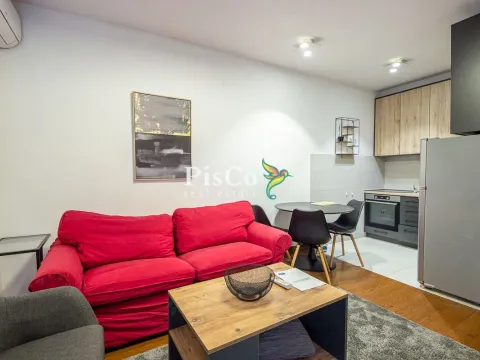 Izdavanje, jednosoban stan, 45m², Stara Varoš, Podgorica - image 7