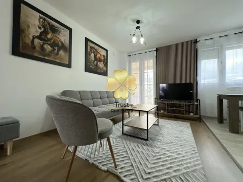 Rent, one bedroom apartment, 45m², Stari Aerodrom, Podgorica - image 1