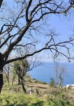 Prodaja, plac, 1227m², Dobra Voda, Budva
