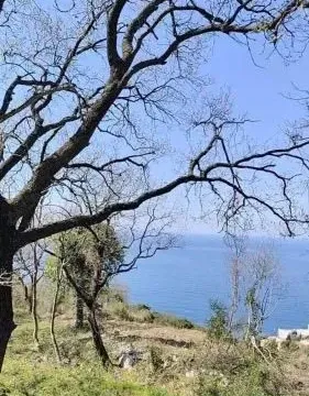 Prodaja, plac, 1227m², Dobra Voda, Budva - image 5