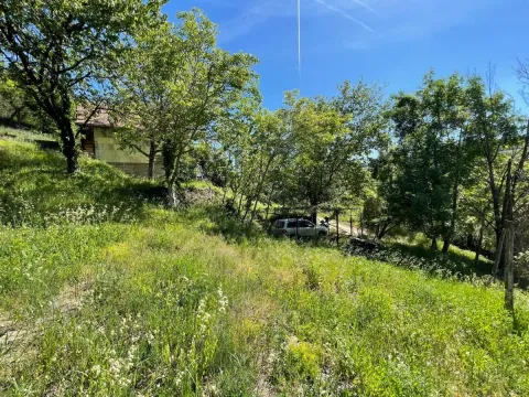 Prodaja, kuća, 80m², Sremska Kamenica, Petrovaradin - image 4