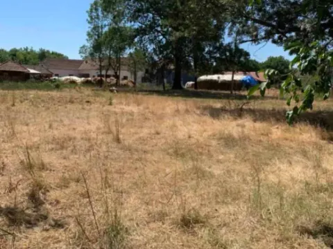 Prodaja, plac, 4730m², Mladenovac, Beograd - image 4