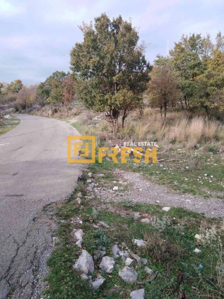 Prodaja, plac, 9600m², Rogami, Podgorica