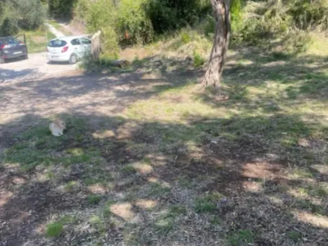 Prodaja, plac, 860m², Šušanj, Bar - image 3