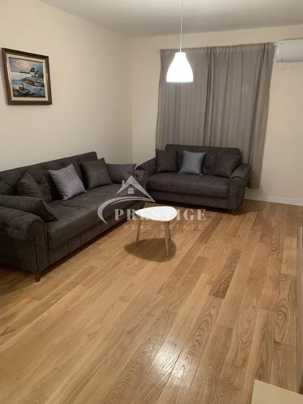 Izdavanje, jednosoban stan, 49m², Central Point, Podgorica