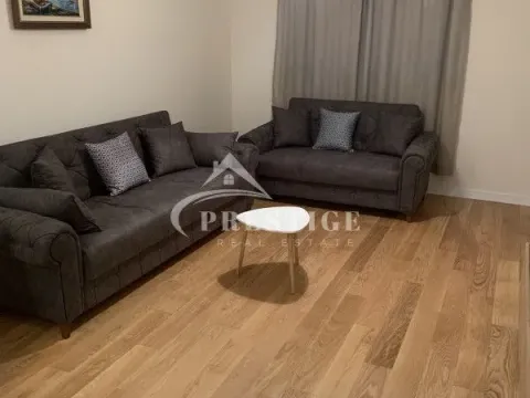 Izdavanje, jednosoban stan, 49m², Central Point, Podgorica - image 10