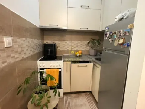 Prodaja, dvosoban stan, 49m², Ljubović, Podgorica - image 4